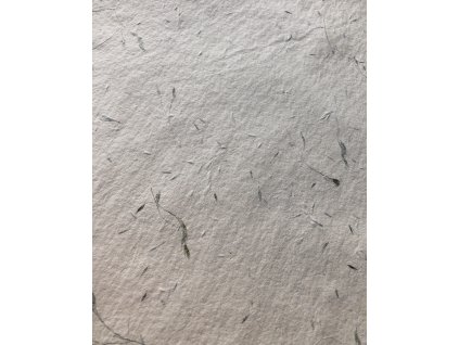 F8B5DCAE 61B3 4F52 9D3D 0DBAC4CA7E36