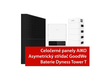 1) Aiko a GoodWe+Dyness web