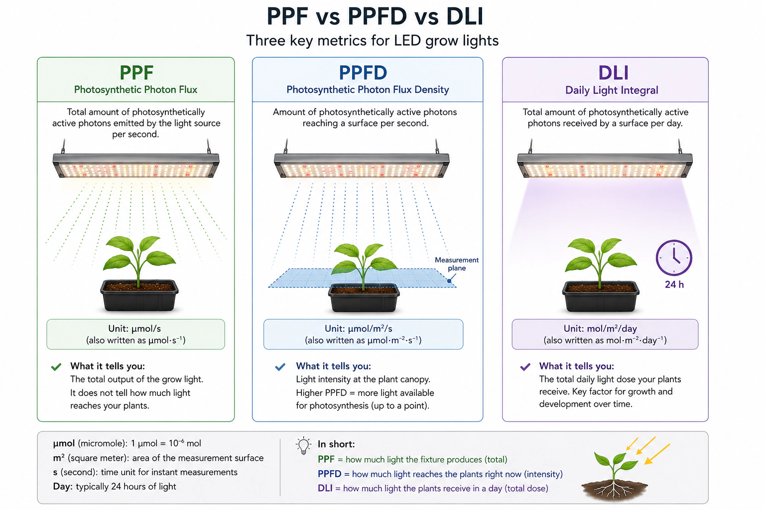 Srovnání rovnoměrnosti PPFD u jedné a dvou linií LED pásku