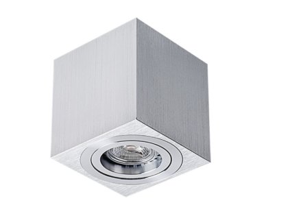 Přisazené svítidlo DUCE, 50W, GU10, nerez