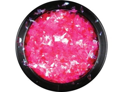 16999041 10208619867279404 422061049261078395 n