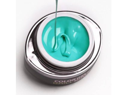 8427 bg color gel 070 600x600