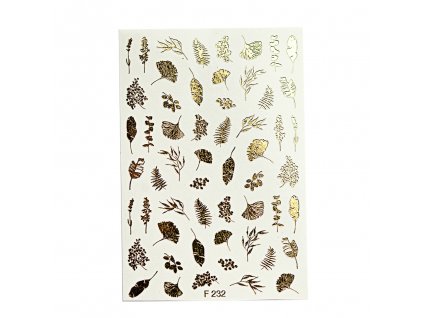 277353441 10220909007500229 7324891610020093678 n