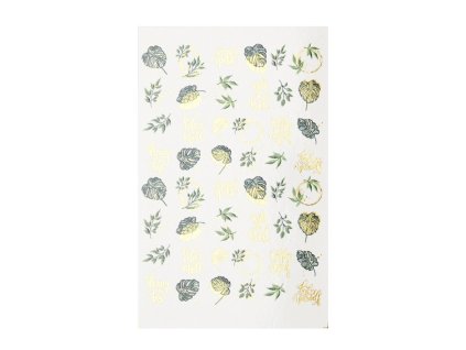 293969468 10221466458636159 4693807408088574006 n