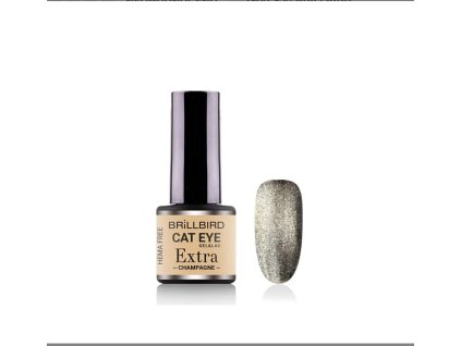 Cat Eye Gel&Lac 4ml - CHAMPAGNE