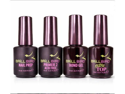 Basic SET | BrillBird