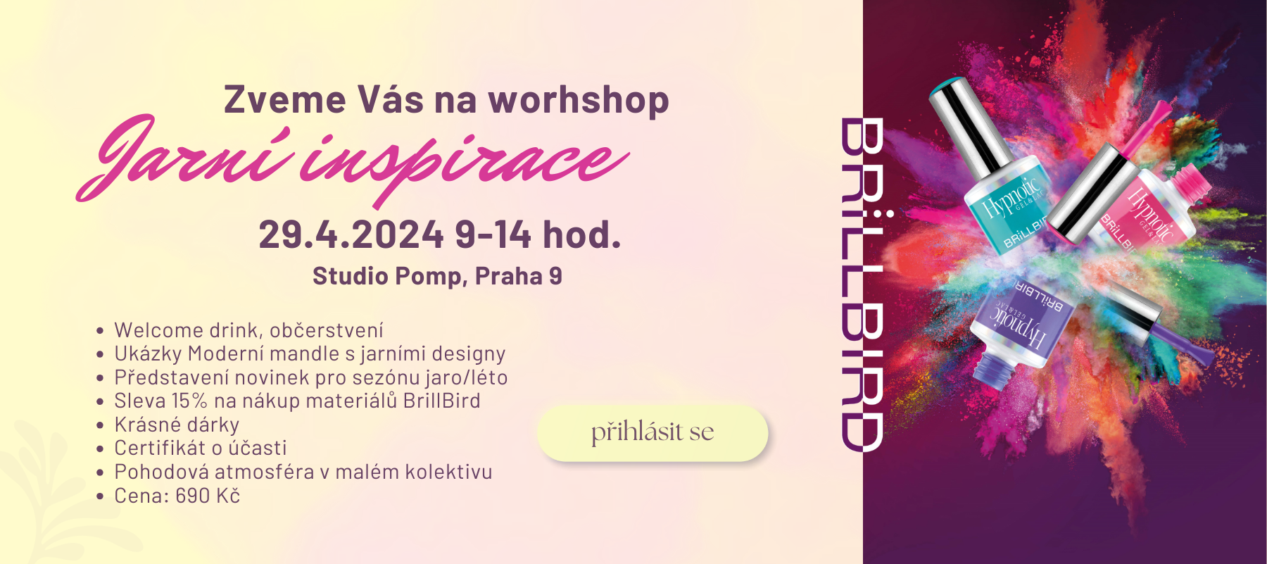 BrillBird workshop