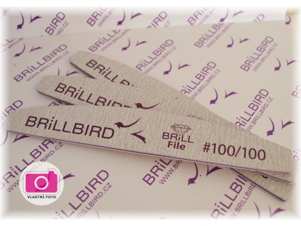 298 1 brill file 100 100 hruby