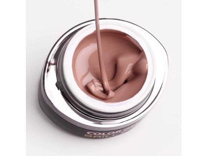 brushgo 107 2