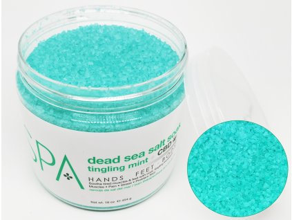 SPA56111 Dead Sea Salt Soak CBD 454g