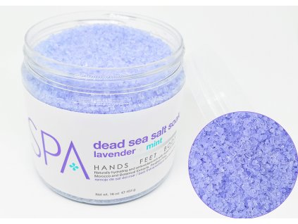 SPA53101 Salt Soak Lavender + Mint 454g