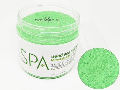 SPA51101 Salt Soak Lemongrass + Green Tea 454g