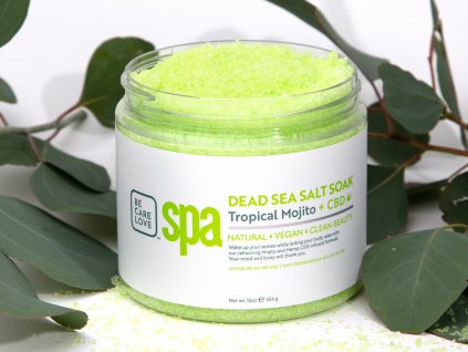 BCL SPA Tropical Mojito DeadSeaSaltSoak 718A1030 landscape