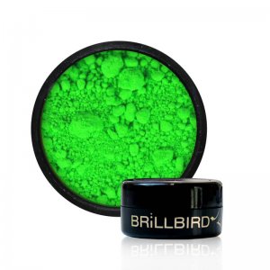 Pigment Neon Green