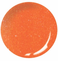 Color pudr Frosty Neon F02 10ml