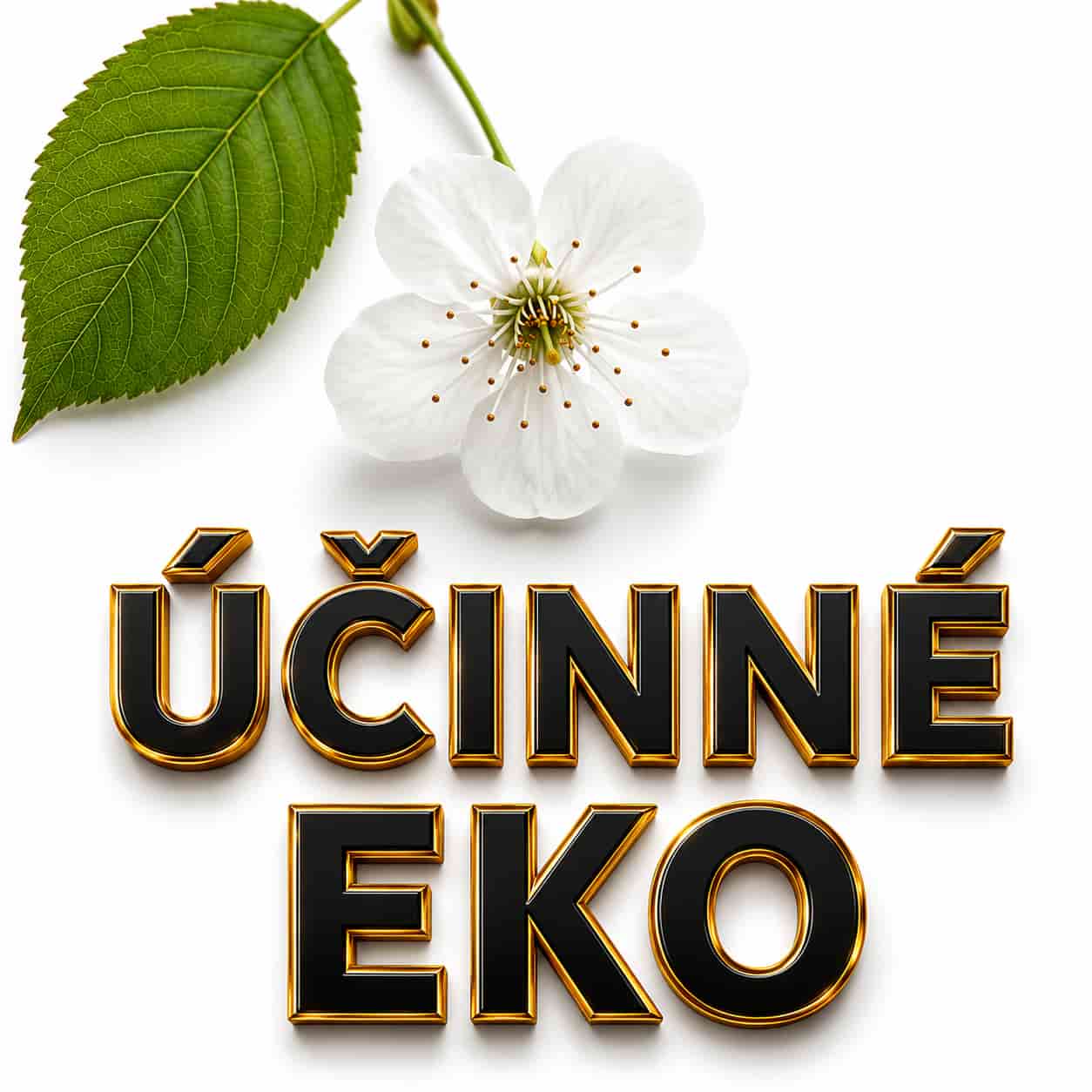 Účinné eko