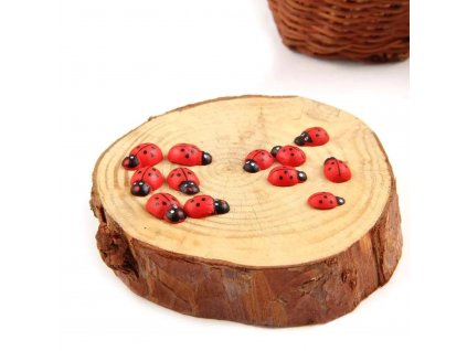 Beruška mini samolepící 12mm