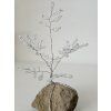 Strom na kameni drátěný s bílými korálky