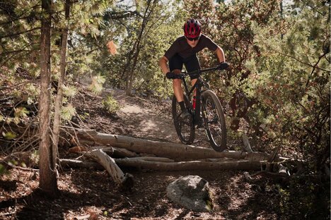 Kerékpárral az erdőbe