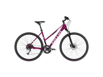 Kellys Pheebe 10 málna (Vázméret 17")