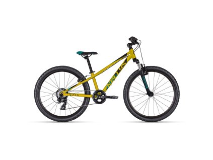 kellys kiter 50 yellow 11 24 57238