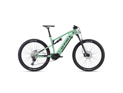 CTM AREON Xpert zsálya zöld (Vázméret 19")