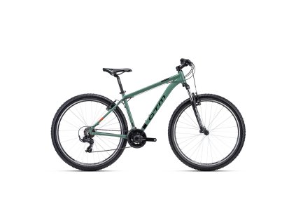 CTM REIN 1.0 29 mélyzöld (Vázméret 20")