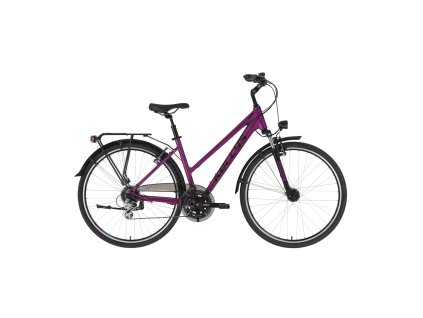 Kellys Cristy 40 M 18"