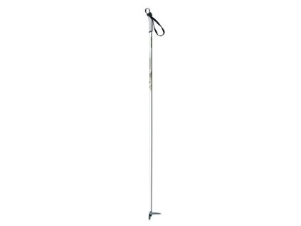 Fischer BC Country sífutó botok (A futórudak hossza 125 cm)
