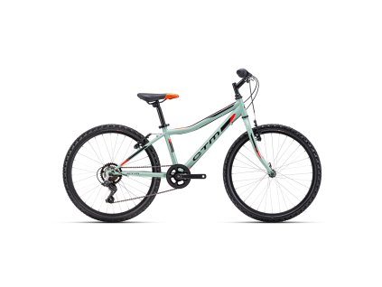 ctm berry 1.0 sivozelena neonova oranzova 57064