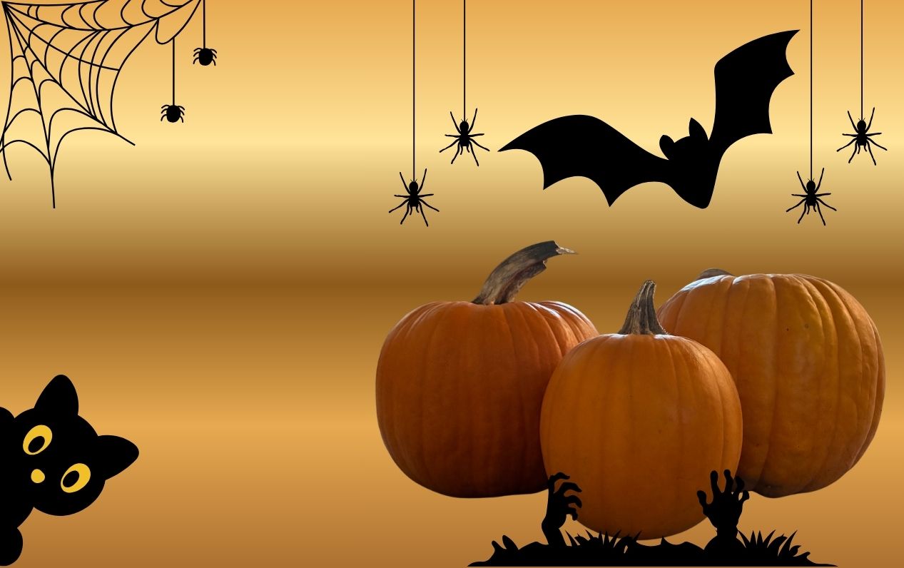 Dýně Halloween
