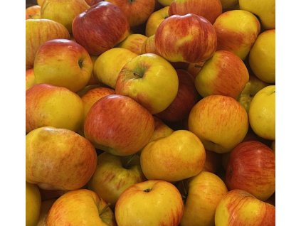 Jablka Topaz  K objednání s vyzvednutím ve výdejním místě či na prodejně v Bříství