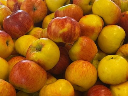 Topaz Shoptet 1024x768