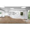 Vinyl RIGID SPC Expona Clic 19dB, 9036 Treehouse Oak