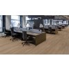 Vinyl RIGID SPC Expona Clic 19dB, 9036 Treehouse Oak