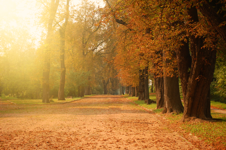 Produkty měsíce září 2020