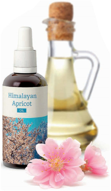 Himalayan Apricot oil