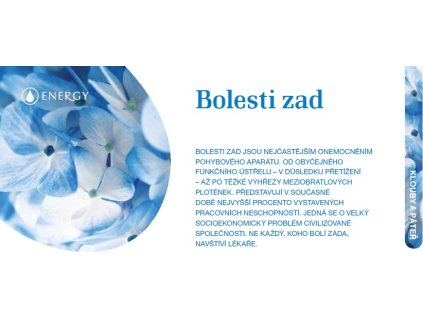 BOLESTI ZAD