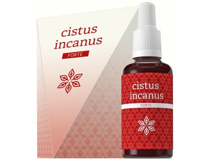 Cistus incanus 3D 300dpi