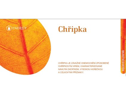 CHŘIPKA