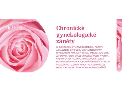 CHRONICKÉ GYNEKOLOGICKÉ ZÁNĚTY