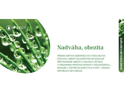 NADVÁHA, OBEZITA