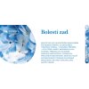 BOLESTI ZAD