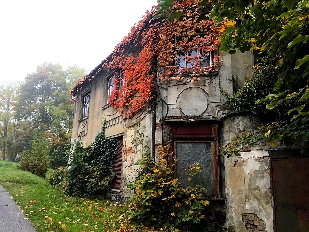 Mám nápad na knížku!