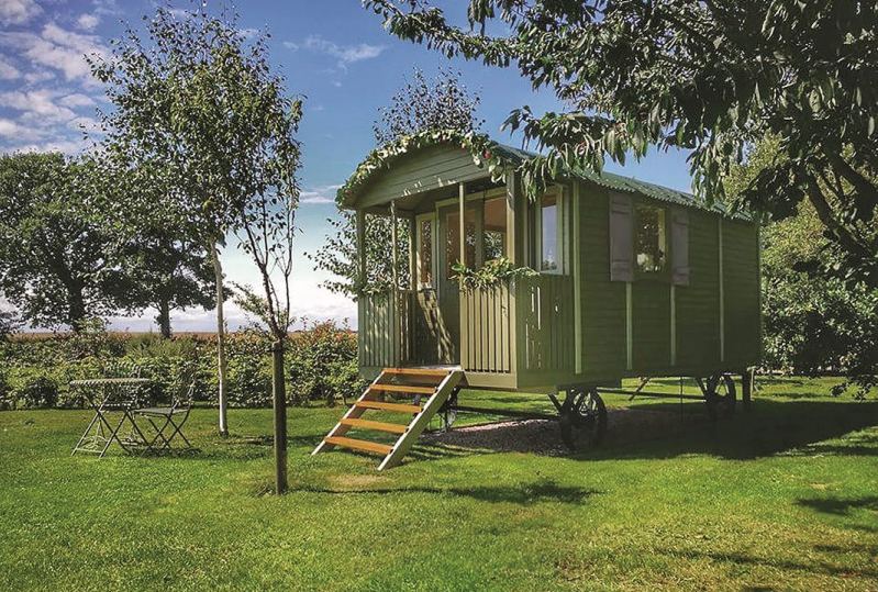 maringotka-v-prirode