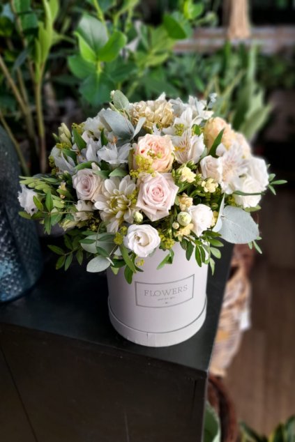 7c5e007d 80e9 45b2 8eec 8d2fee5a7b7b