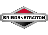 Briggs Stratton