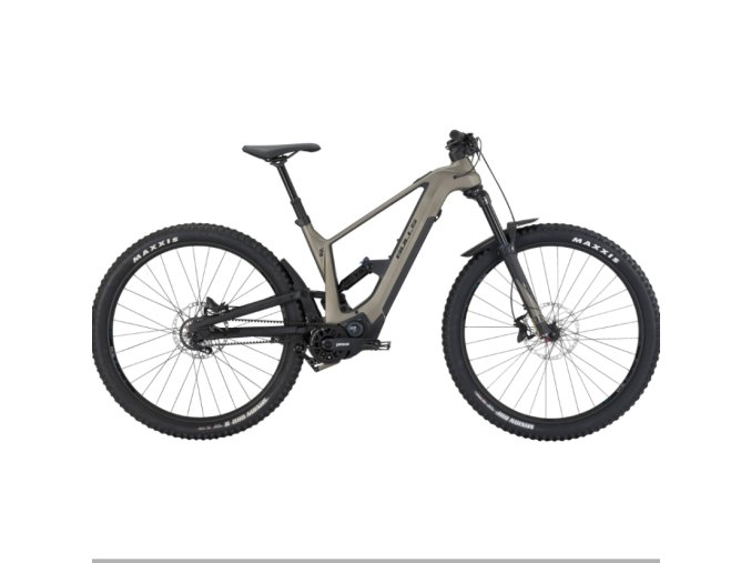 Bulls VUCA EVO AM1 1055 Wh grey - PINION
