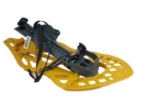 sneznice haven morpho classic 1