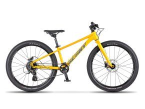 BEANY BLASTER XC 24